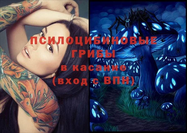 ECSTASY Кинешма