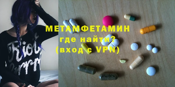 индика Ладушкин
