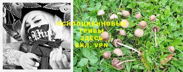 2c-b Киреевск