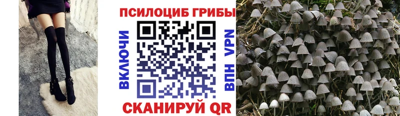 закладка ОМГ ОМГ ТОР Галлюциногенные грибы ЛСД Котельнич